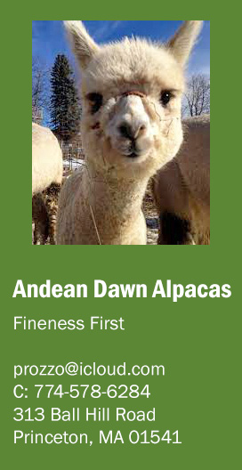 Andean Dawn Alpacas - sponsor - Alpaca Showtacular
