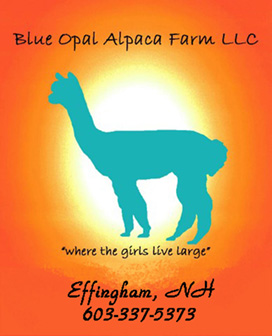 Blue Opal Alpaca Farm - sponsor - Alpaca Showtacular