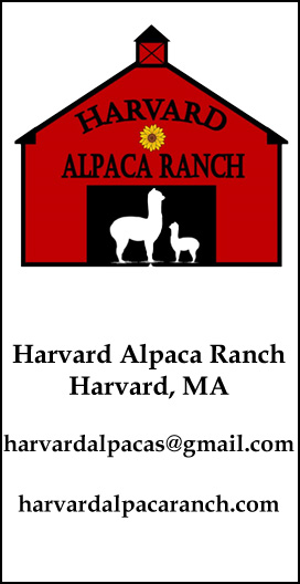 Harvard Alpaca Ranch - sponsor - Alpaca Showtacular