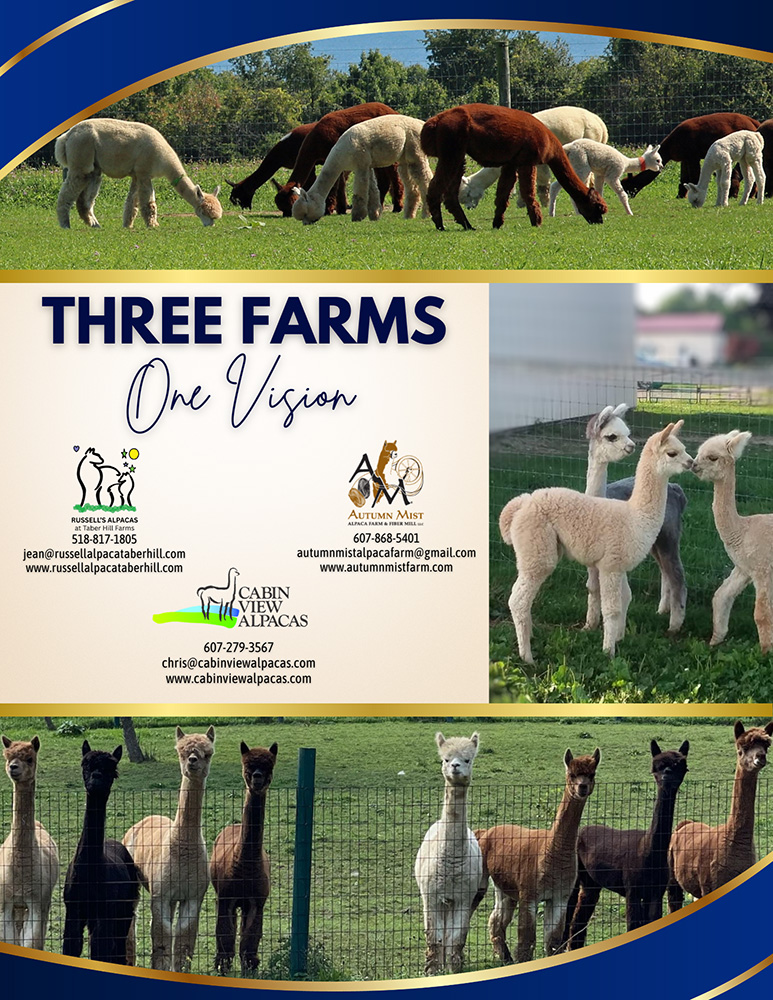 Cabin View Alpacas, Autumn Mist Alpacas and Russell's Alpacas at Taber Hill Farms - sponsors - Alpaca Showtacular