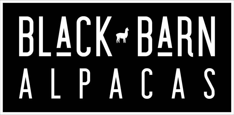 Black Barn Alpacas - sponsor - Alpaca Showtacular
