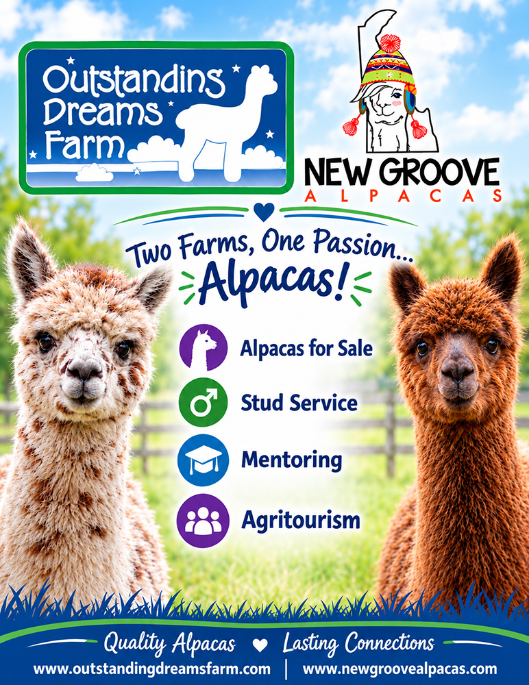 Outstanding Dreams Farm and New Groove Alpacas - sponsors - Alpaca Showtacular
